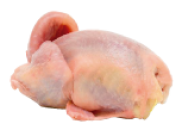 AVES-ARTEMONTE-CATÁLOGO-NUEVO