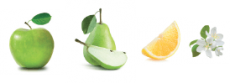 Recurso 11FRUTAS CHAN CLASICO