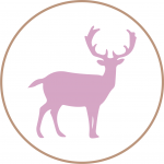GAMO