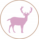 GAMO