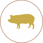 CERDO