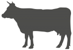 Vaca