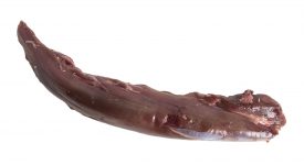 solomillociervoPH